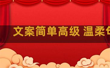 文案简单高级 温柔句子